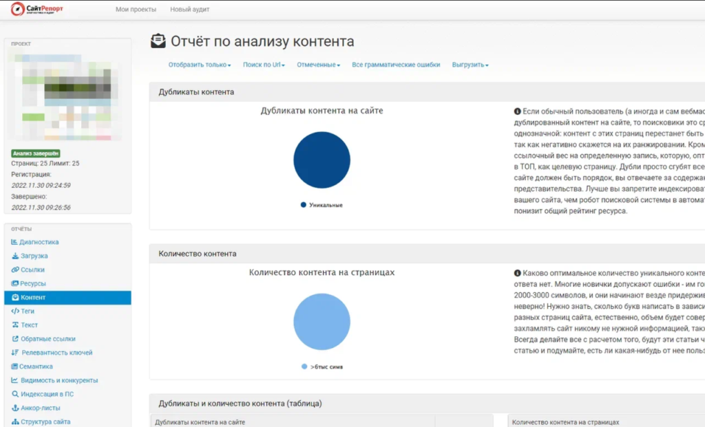 Пример отчета seo-параметров в сервисе saitreport.ru